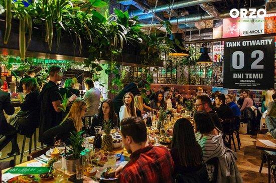 Orzo People Music Nature Kraków